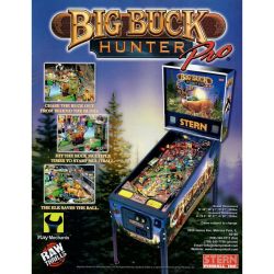 Big Buck Hunter Flyer